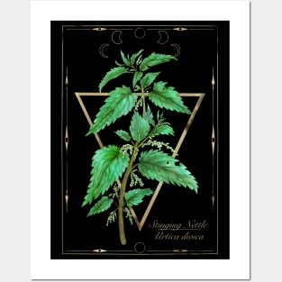 Stinging Nettle. Witchy herbs Posters and Art